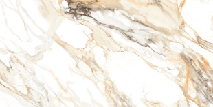 Керамогранит Ceraland Calcatta Paonazzo (60х120) глянец